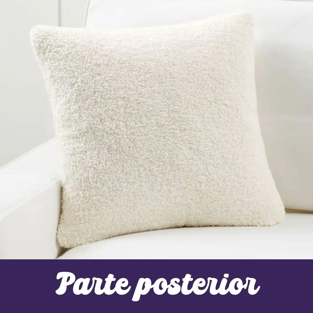 COJIN MERIDA VALIENTE 45x45cm