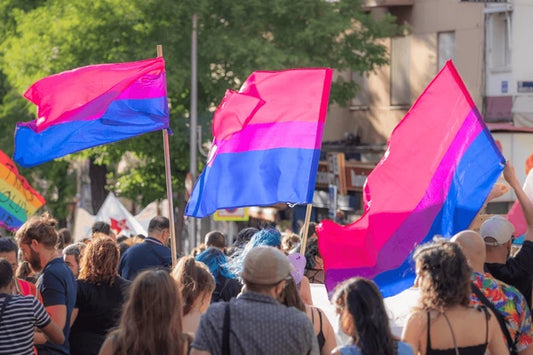 BANDERA BISEXUAL