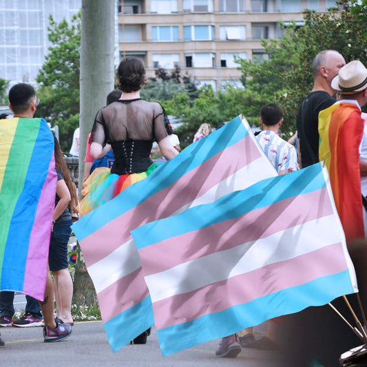 BANDERA TRANS