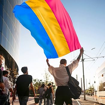 BANDERA PANSEXUAL