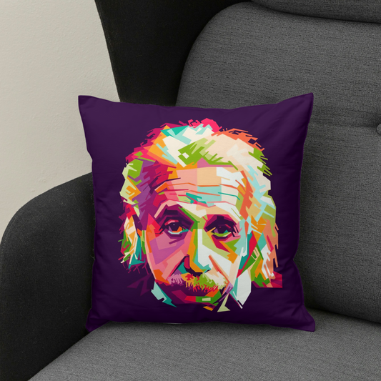 COJIN EINSTEIN 45x45cm