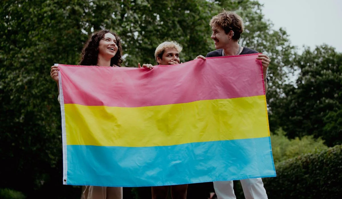 BANDERA PANSEXUAL
