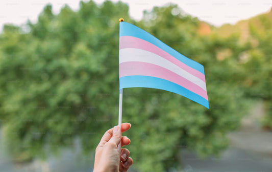 BANDERA TRANS